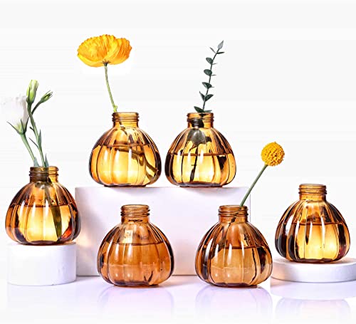 Aebor Glass Bud Vases Set of 6, Glass Flower Vases Small Bottles for Floral Arrangements, Rustic Decorative Floral Vases for Centerpiece Home Living Room Office Decoration or Wedding Event (Brown C)