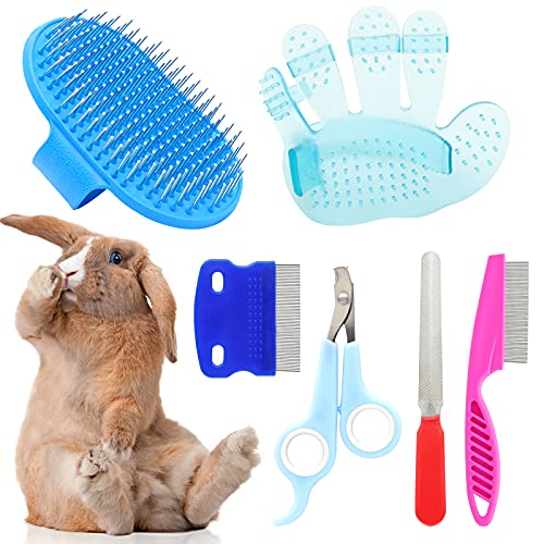 Top 10 Best Rabbit Grooming Brush of 2022 Review Best Pet Pro