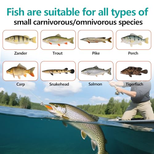 VEYCVLA Fishing Gummifische Zander Set 10 cm 5 Stück Farben Gummiköder Zander-Angeln-Softbait Angelköder UV-Aktiv,Gummi Fische Gummifisch Set Zander-Gummifisch Zander Köder