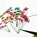 6pcs Tiny Natural Real Pressed Dried Flower for DIY Craft Jewelry Making Handmade Resin Ornament (Multi)