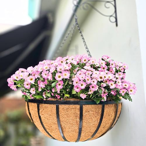 LaLaGreen Outdoor Hanging Baskets for Plants (20 Inch) Extra Large Black Metal Flat Iron Hanging Planter with Coco Liner Round Flower Pot Holder Hanger Deck Porch Modern Garden Balcony Country Decor