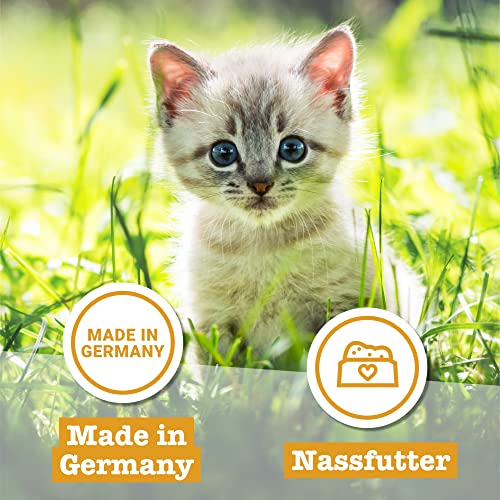 catz finefood Kitten N° 7 Rind und Kalb Katzenfutter nass - Feinkost Kitten Nassfutter für junge Katzen, 6 x 200 g