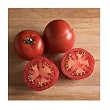 David's Garden Seeds Tomato Slicing Nepal 7733 (Red) 25 Non-GMO, Heirloom Seeds