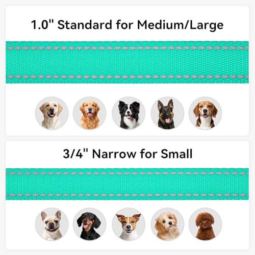 Joytale Dog Leash, 6 FT Double-Sided Reflective, Padded Handle Nylon Heavy Duty Leashes for Medium & Large Dogs Walking, Teal - Image 7