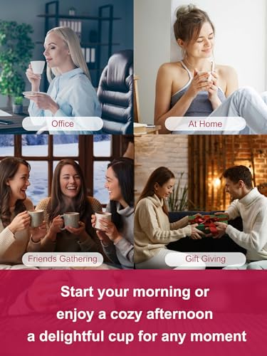 Image of TeeLux Raspberry Hibiscus Tea Bags, Tart & Sweet Notes, Caffeine Free 100ct | Tart Hibiscus Blend with Sweet Licorice, Lemongrass, Rosehips & Natural Raspberry Flavor, Juicy Berry Notes, Hot or Iced