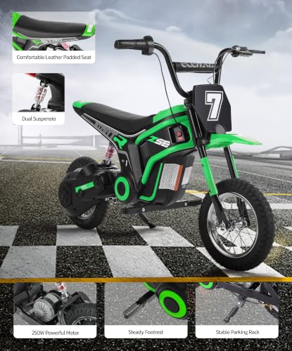 Image of ELEMARA Electric Dirt Bike,350W Motorcycle 24V Ride on Toy for Big Kids w /LED Power Display,15.5 mph & 150lb Max,3 Speeds,Chain-Driven Motor,Twist-Grip Throttle&Brake Lever,12 inch Air-Filled Tires-Green