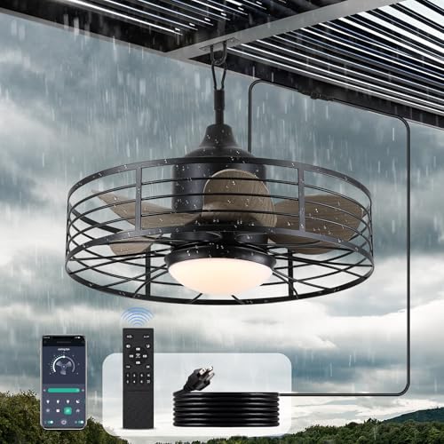 jazimar Outdoor Caged Ceiling Fan with Lights, 20'...