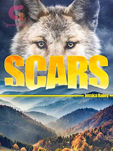  Scars: Book 1 (English Edition)