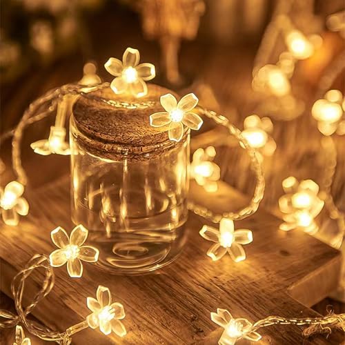 Flower Fairy Light Battery Operated Indoor String Lights 30LED Cherry