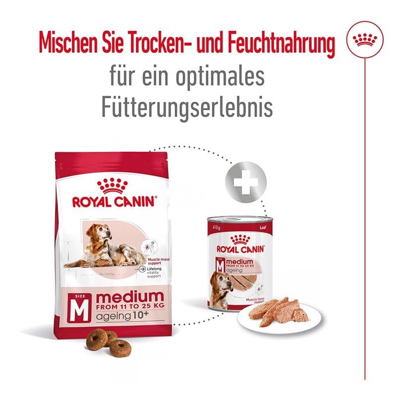 Royal Canin Medium Ageing 7+ Mousse | 12 x 410 g | Alleinfuttermittel für ältere, mittelgroße Hunde ab dem 7. Lebensjahr