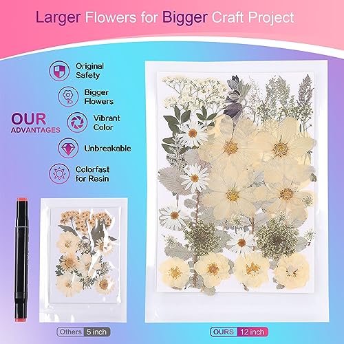 12“ Large Dried Pressed Flowers for Art Crafts, Real Dry Natural Flower Leaf Fruit Bulk for Resin Mold, Cake Decor, Glass Frame (Winter Silver)