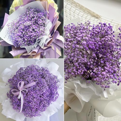 Dried Baby's Breath Flowers Bouquet Natural Dried Flowers Baby's Breath Real Gypsophila Branches for Wedding Table Vase Party Garden DIY Wreath Floral Home Decor(Purple) - Image 3