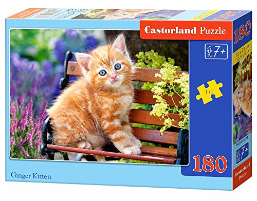 Preisvergleich Produktbild Castorland B-018178 Puzzle, bunt