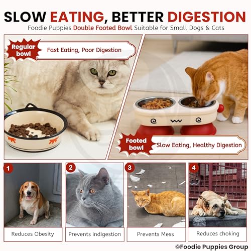 Image of Foodie Puppies Pet Elevated Cat Bowl - (Fun Face Double Bowl) | Detachable Stainless Steel Raised Feeder for Food & Water Feeding | Durable, Anti-Vomiting, Mess-Free Feeder for Cats, Kittens & Puppies