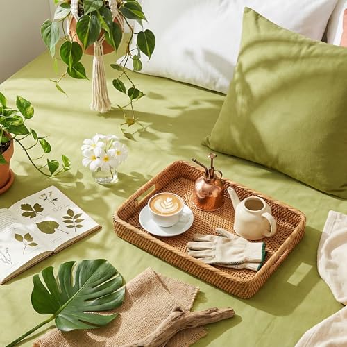Image of NAKSH Queen Size Bed Sheet Cotton - Plain 210 TC Soft & Breathable Cotton Bedsheet for Double Bed, Includes 2 Pillow Covers, Ideal for Daily Home Use, Moss Green