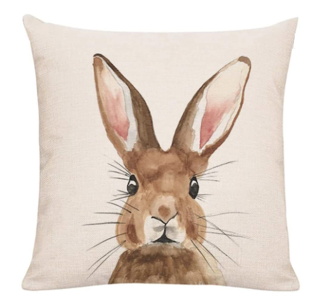 The Beach Stop Boys Colourful Decorative Woodland Rabbit Easter Bunny Scatter Cushion Cover | Unique Design Home Decor | Gift Idea | 45X45cm 18X18” | Bunny Rabbit
