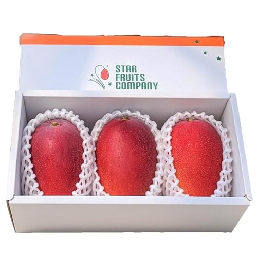 スターフルーツカンパニー 宮崎県西都産 よくばり完熟マンゴーセット(3玉・約1.2kg)先行予約2026年5月〜6月発送 生産者直送 果物 フルーツ