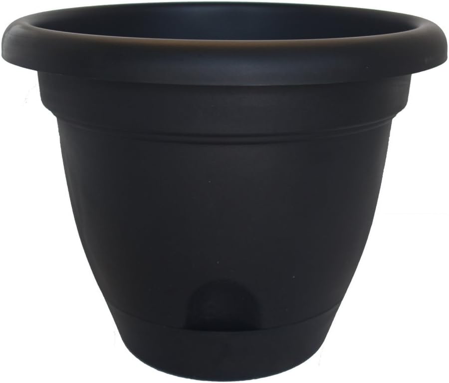 Bloem Lucca Resin Planter
