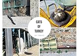 Cats of Turkey Walking Through Streets and Cities A Travel Photography Book of Istanbul, Cappadocia, and Beyond