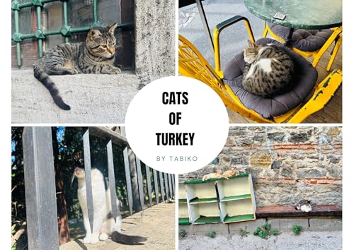 Cats of Turkey Walking Through Streets and Cities A Travel Photography Book of Istanbul, Cappadocia, and Beyond