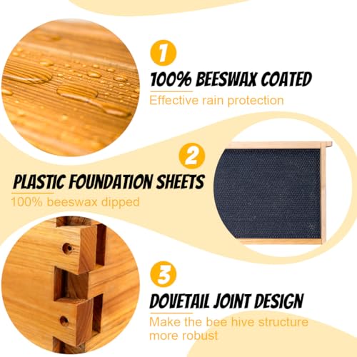 Honey Lake Bee Hive with Windows, 10 Frame Langstroth Complete Beehive Starter Kit Dipped in Beeswax with Beehive Frames and Waxed Foundations (2 Deep Brood Bee Hive Box & 1 Medium Super Bee Box) - Image 4
