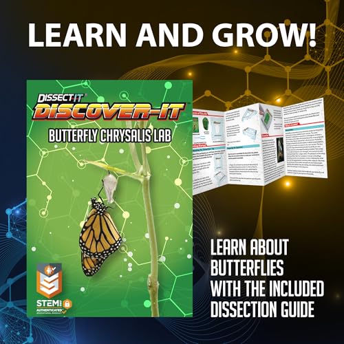 Image of Discover it Butterfly, Science Lab Kit, STEM Toys for Kids, Ages 5+ | Butterfly Life Cycle: Open a synthetic chrysalis to discover butterfly stages while learning about metamorphosis and STEM