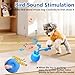 Saolife Interactive Dog Toys, Moving Dog Ball with Touch Activated, Active Rolling Ball for Puppy and Medium Dogs, Squeaky, USB Rechargeable