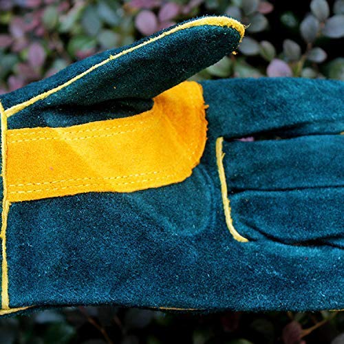 Image of Animal Handling Leather Gloves Kevlar Gauntlet for Saftey Against Cats, Dogs, Reptile, Birds, Snakes (16 inches - (Pack of 1 Pair), Green-Yellow)
