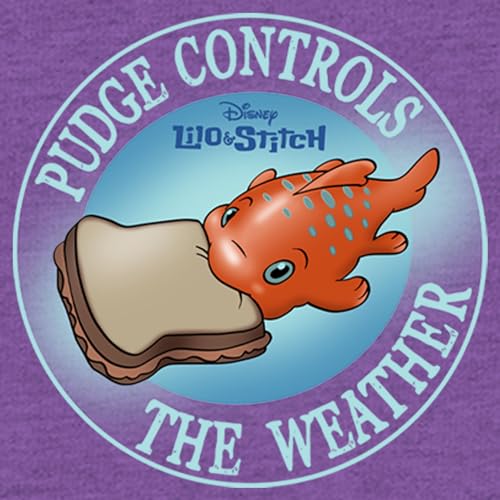 Disney Lilo & Stitch Pudge Weather Girl's Heather Crew Tee2