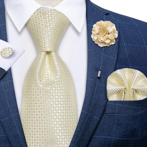Image of DiBanGu Silk Ties for Men Necktie and Lapel Pin Brooch Set Formal Woven Paisley Plaid Striped Solid Tie Wedding Party