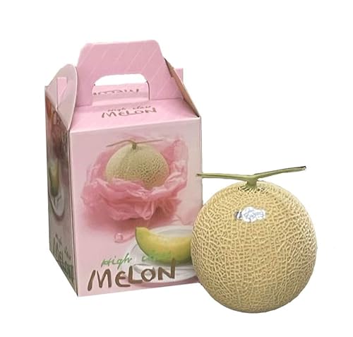 ������ �A�[���X������ 1.0kg×�P�� �Y�n���I �M�t�g