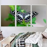 3 Piece Framed Canvas Wall Art Colorful Butterfly Insects Canvas Prints Home Artwork Decoration for Living Room,Bedroom - 16