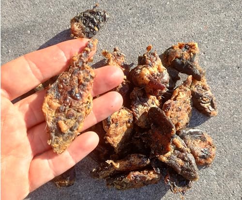 Lucze 500g Hühnermägen wie getrocknete Hühnerherzen Katze und Hunde Leckerli Kausnack Trainigssnack Belohnung Eigenherstellung