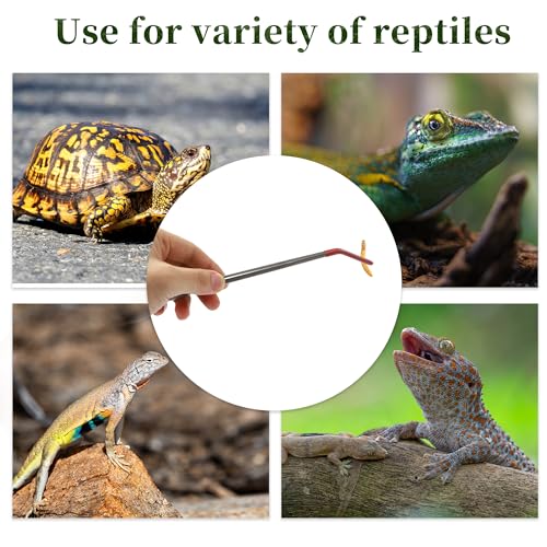 Image of Stainless Steel Reptile Feeding Tongs, Curved Aquarium Tweezers with Rubber Tip, Terrarium Tongs for Gecko, Lizard & More, 10.63 inch Length, Red
