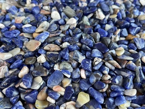 Image of GAF TREASURES 2 oz Lot Natural Semi Sodalite Tumbled Gemstone Chips, Crushed Mini Crystals, Undrilled Crystal Chips (Sodalite)
