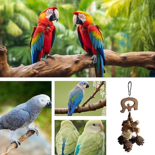 Bird Toy for Parrots, Chewing Toy for Birds, Parrot Toy with Pinecones, Hanging Bird Toys, Bird Chew Toy for Parrots, Wooden Bird Hanging Toy, Small Medium Bird Toy, Parrot Playtime Toy - Afbeelding 6