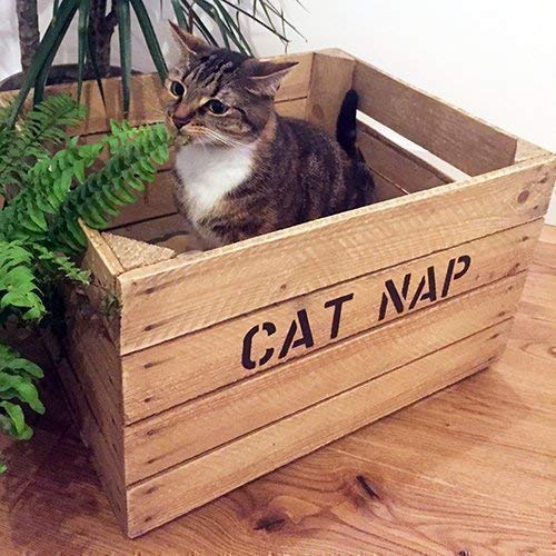 custom cat beds