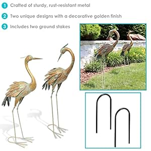 Sunnydaze Golden Crane Metal Yard Art, Lawn and Garden Sculpture Decor- Gold with Blue Accent - Includes 2 Statues Sunnydaze Golden Crane Metal Yard Art Lawn and Garden Sculpture Decor Gold with Blue Accent Includes 2 Statues