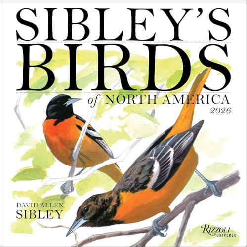 Sibley's Birds of North America 2026 Wall Calendar