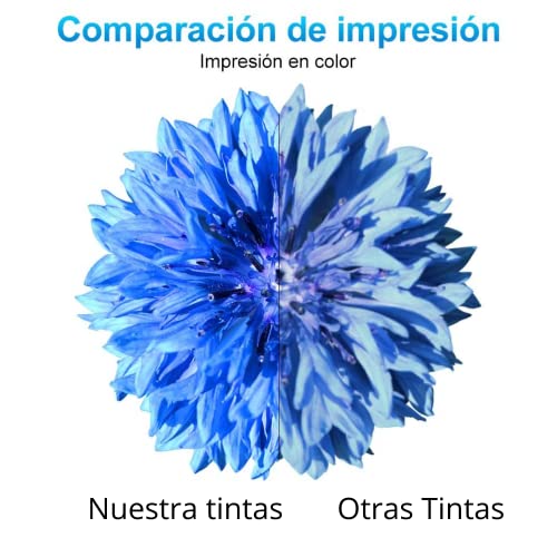 Bramacartuchos - 5 Cartucce compatibili XL non OEM...