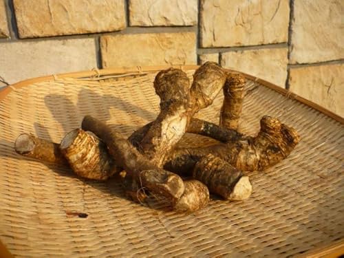 kCY cɂg ytR킳 P ?h