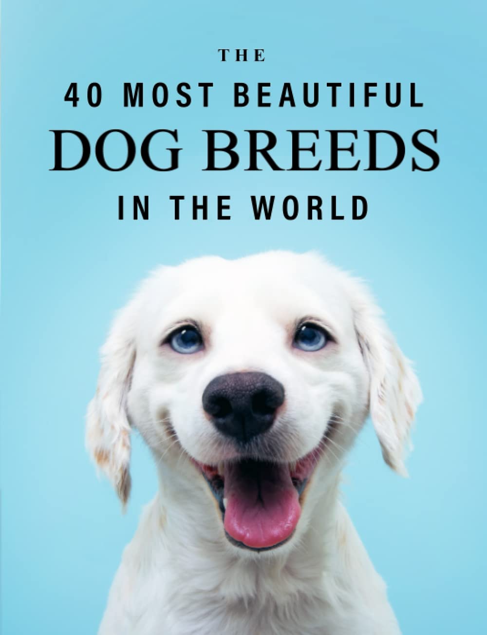 The 40 Most Beautiful Dog Breeds in the World: A full color picture book for Seniors with Alzheimer's or Dementia (The "Most Beautiful World" Series)