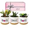 GIFTAGIRL Housewarming Gifts for New Home – Pretty House Warming Gifts, Our Personalized Pots are Ideal Gift Ideas for…