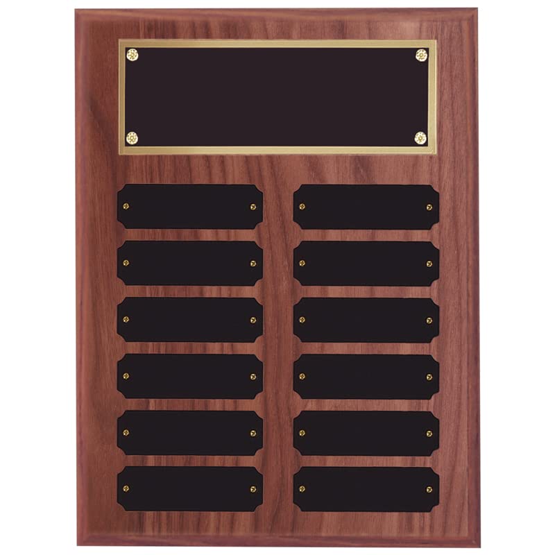 Buy SHOP AWARDS AND GIFTS 9 x 12 Inch Perpetual Plaque Award Multiple
