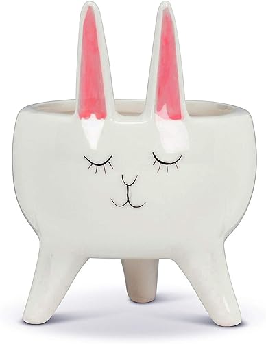 Miniatura 5 de Macetero para plantas suculentas, macetas de cerámica para interiores, macetas novedosas para el hogar, oficina, jardín (flamenco rosa, 1)