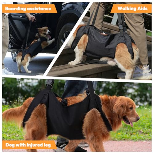 Hundehebegeschirr, Verstellbare Tragehilfe für Hunde, Hundetreppenhalterung,Hebegeschirr für Hundegeschirr für Hinterbeine, Sicherheitsgurt für Behinderte, Verletzte oder Ältere Hunde