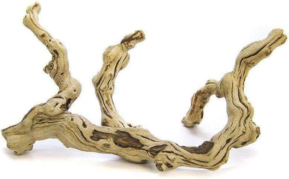 Premium Sand Blasted Grapevine for Reptiles, Birds, Rodents | Terrarium, Aviary, or Enclosure Decoration - Medium 12"