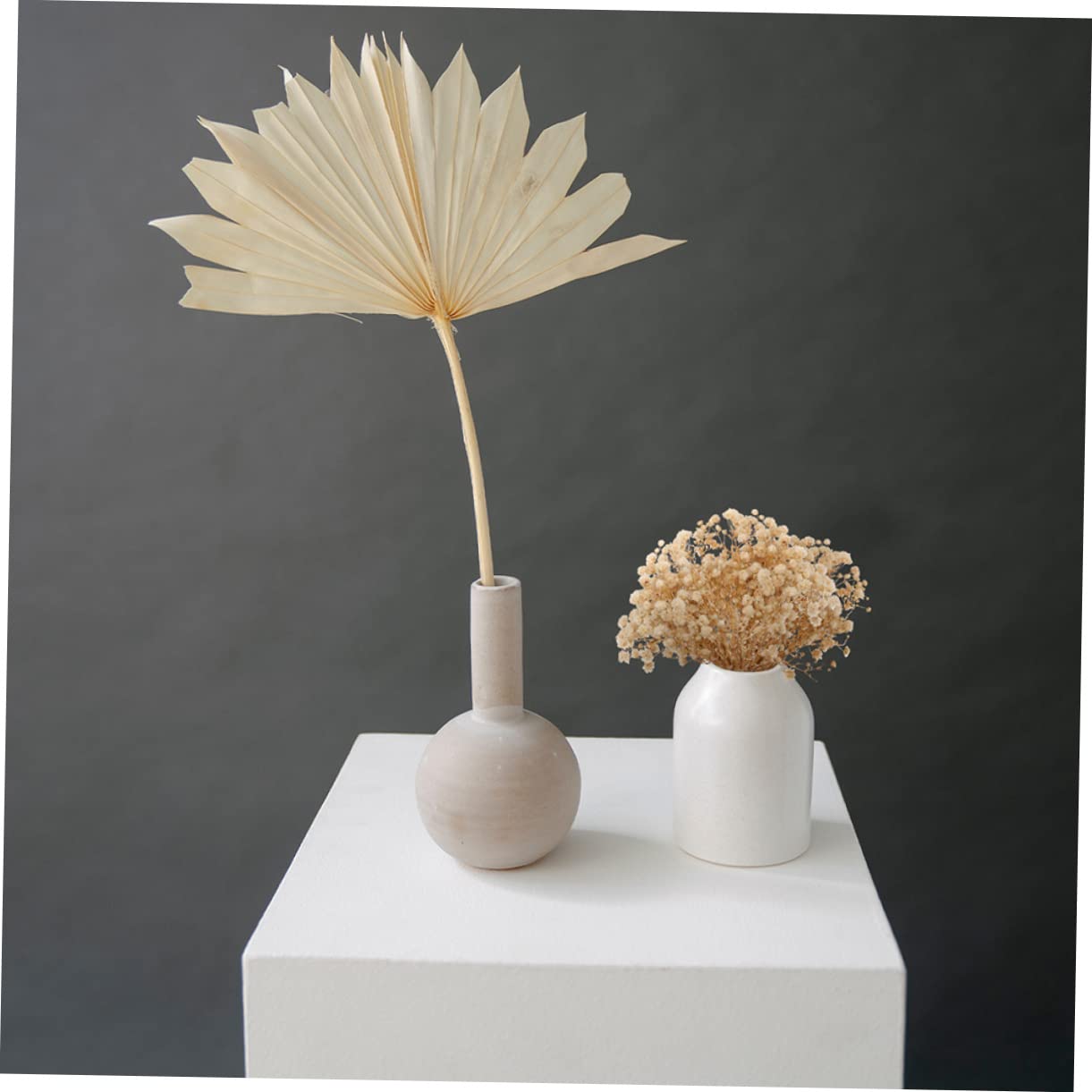 MAGICLULU 4 Pièces 10 Petit Bouquet de gypsophile bouda Decoration Interieure Fleur sechees Fleurs séchées pour l'artisanat Bouquet de Fleurs séchées Fausse gypsophile pour Vase Beige
