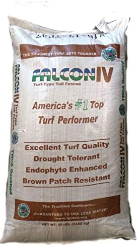 SeedRanch Falcon IV Turf Type Tall Fescue Grass Seeds - 50 lbs.