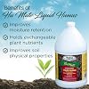 Medina Humate Humic Acid for Plants - Concentrated Liquid Compost, Humic Acid for Lawn - Enhance Plant Growth, Moisture Retention, Nutrient Absorption - Humates for Soil - 1 Gal Covers 8000 Sq. Ft.